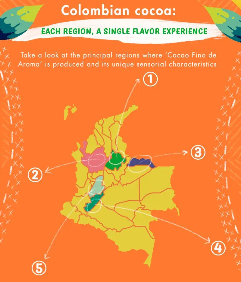 
Infographic of Colombian cocoa, showing a map of Colombia with five outstanding cocoa producing regions.