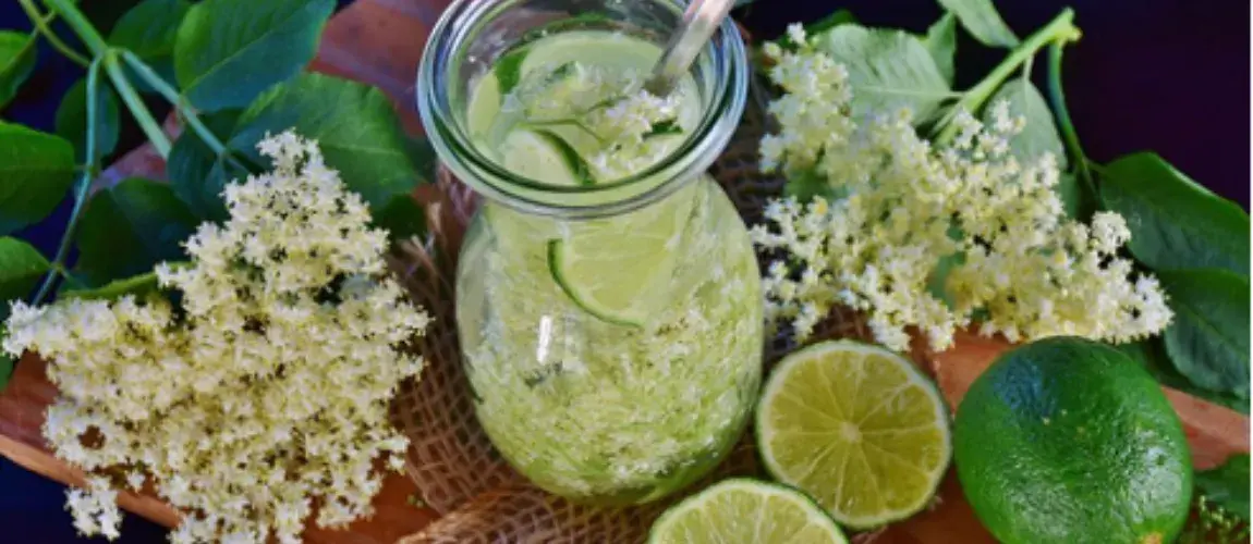 Infusiones tradicionales