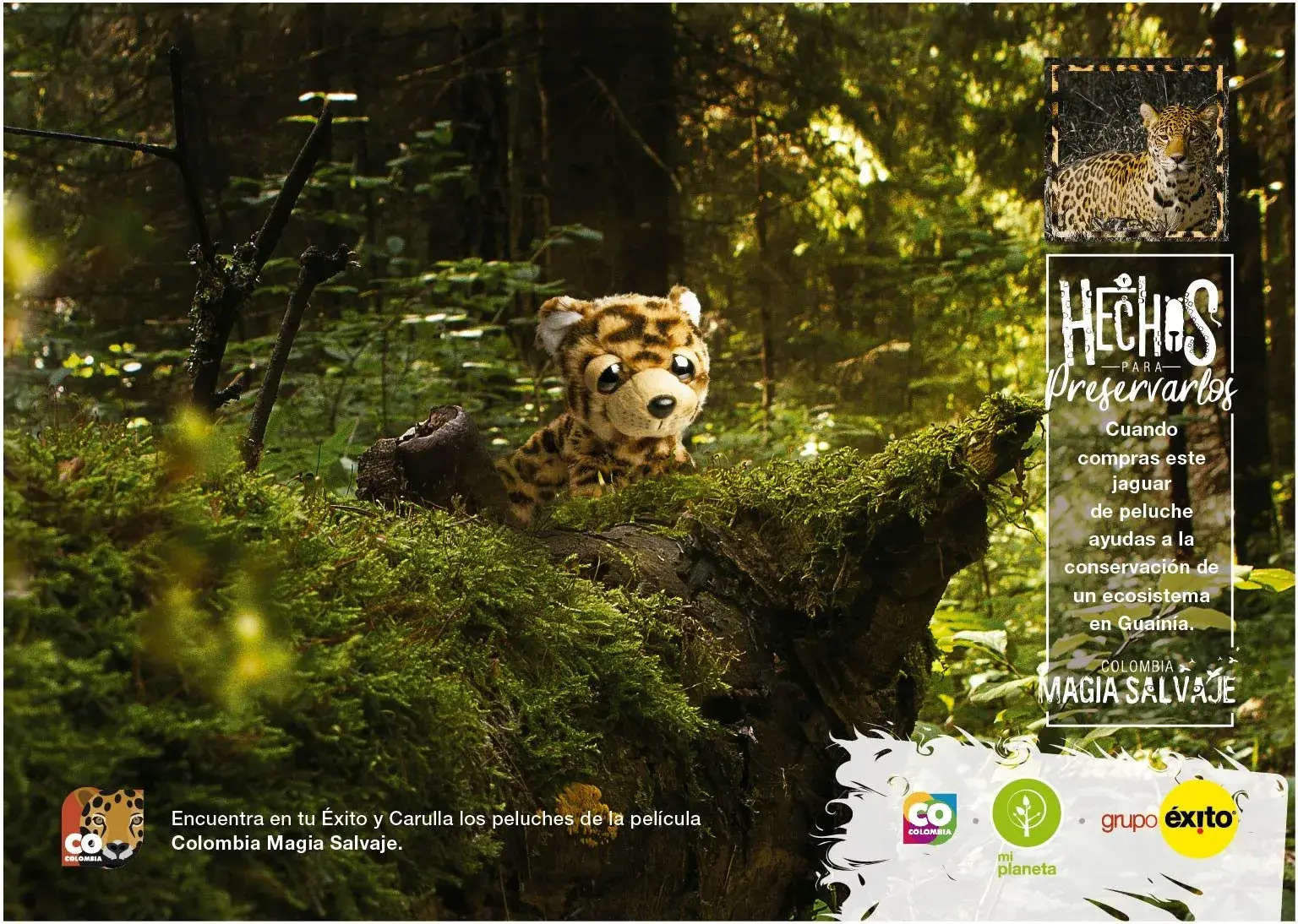 Jaguar de peluche entre la vegetación, campaña de preservación en Guainía.