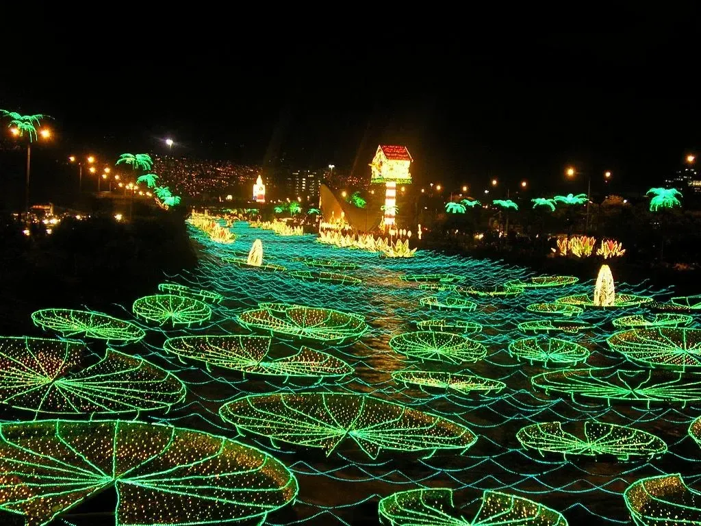 Green Christmas lights in Medellín
