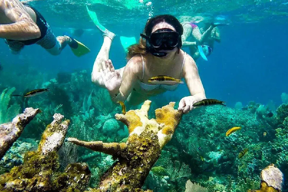 Mujer practicando snorkel o buceo en Cartagena