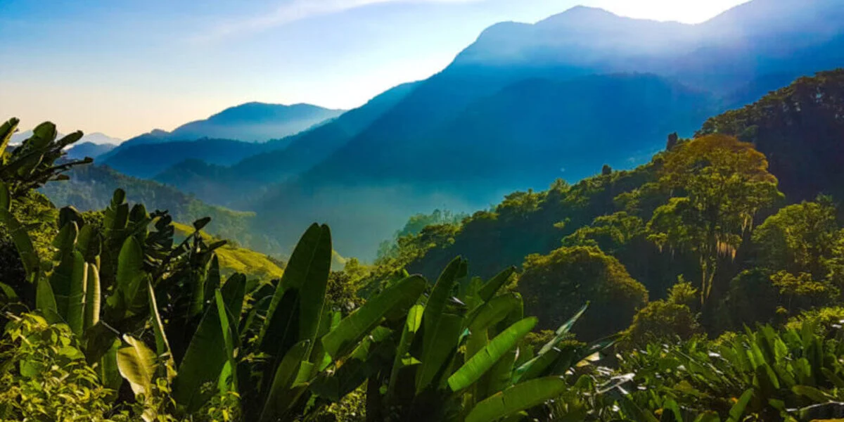 Paisaje Colombiano