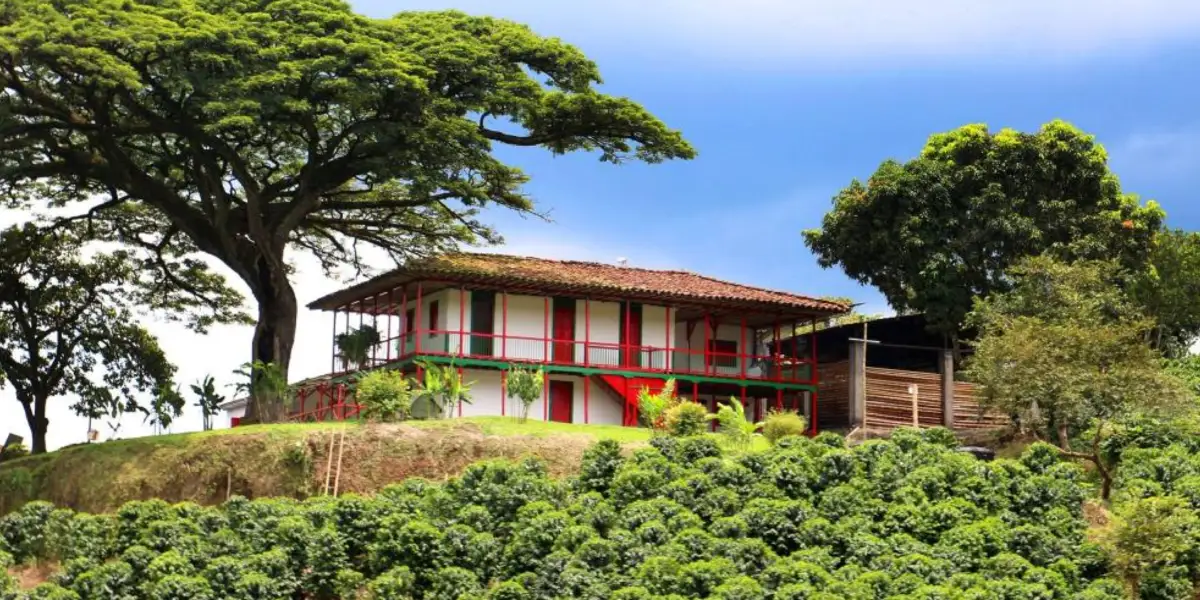 Paisaje Cultural Cafetero
