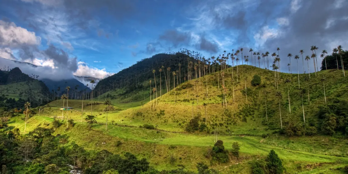 Paisaje de Colombia