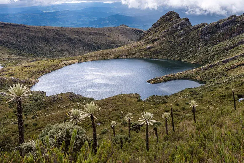 Páramo colombiano rodeado de extensa vegetación y montañas