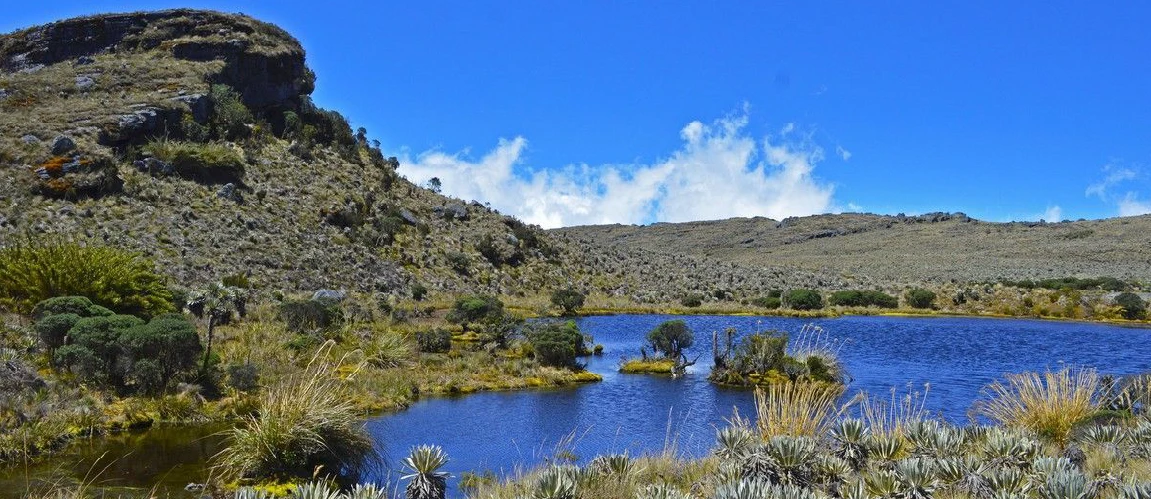 Páramo de Sumapaz