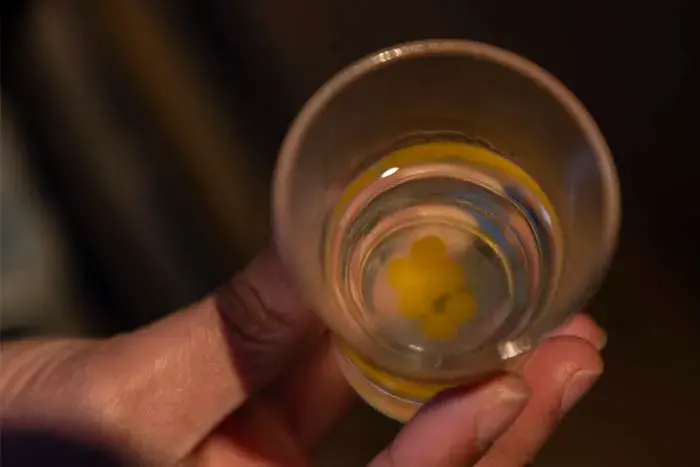 Pineapple distillate with passion fruit spheres, the appetizer at Garden Flat's clandestine dinners.