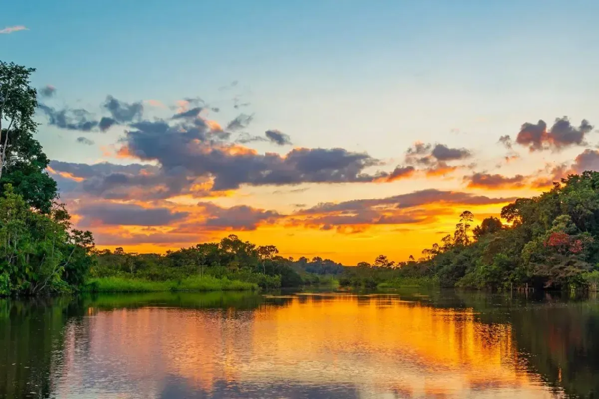 Paisaje del Río Amazonas
