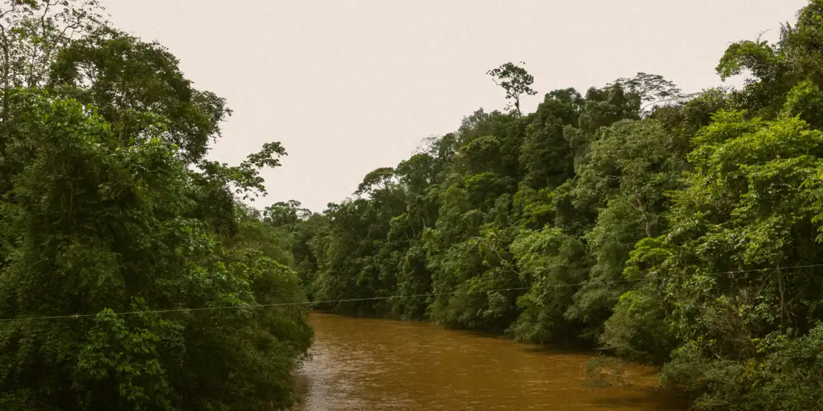 Río Putumayo