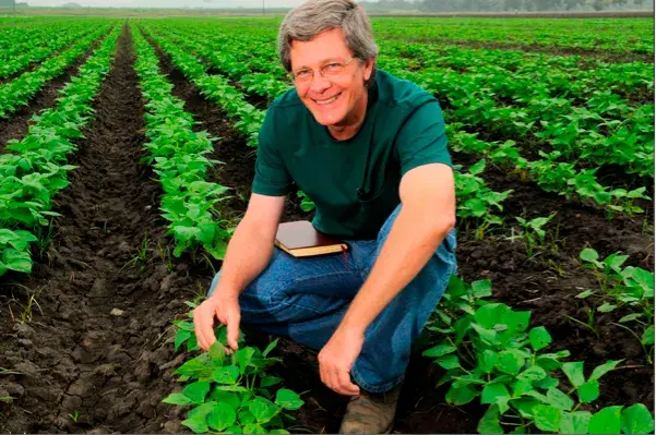 MCientífico Steve Beebe agachado en un campo de cultivos en hileras, examinando una planta y sonriendo.