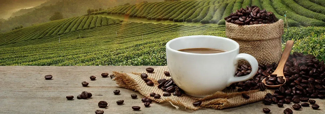Colombian coffee mug with mountainous background