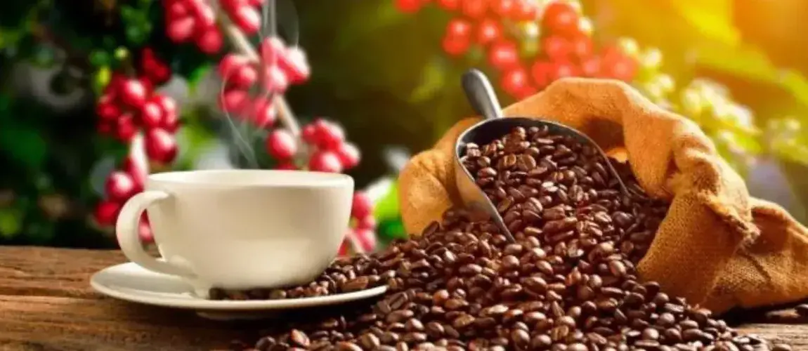 Taza de café alrededor de paisaje cafetero