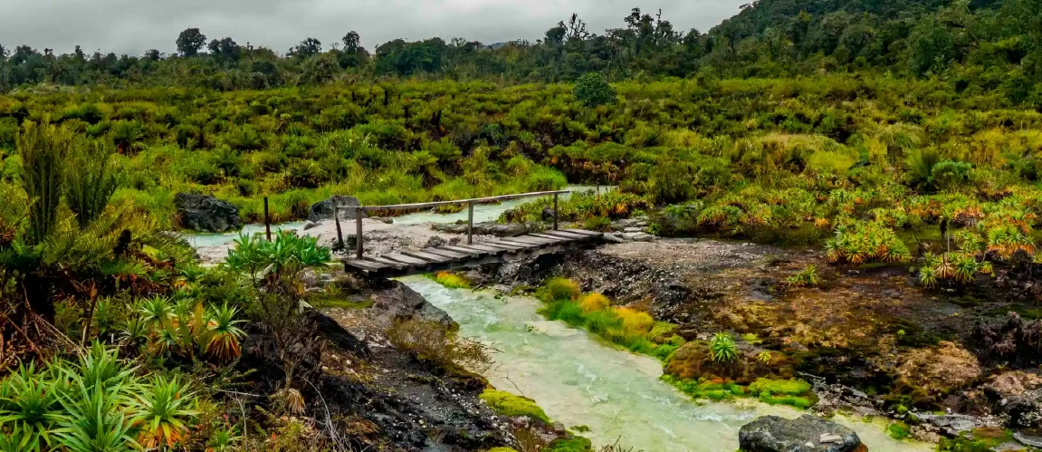 Termales de San Juan, Puracé