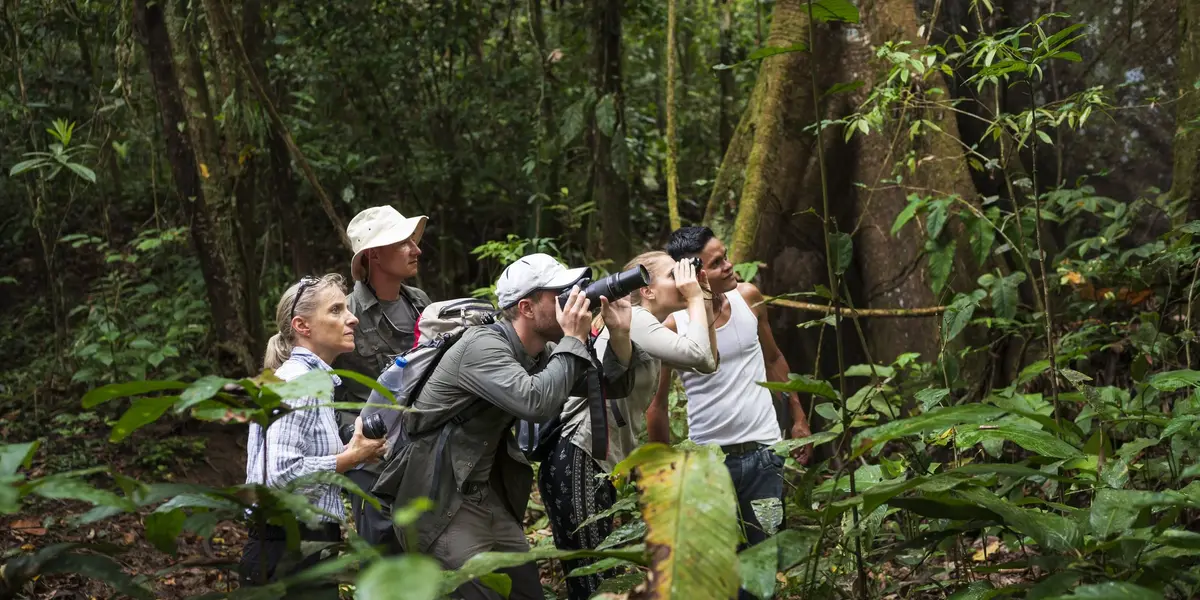 Turistas haciendo aviturismo