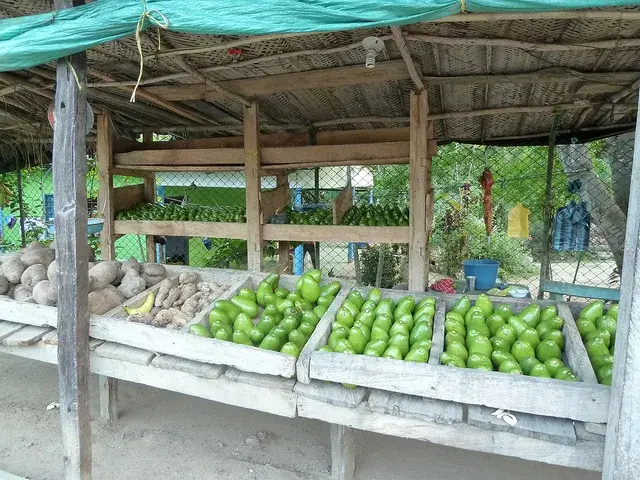 Stall selling avocados and tubers in Colombia.