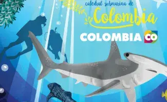 Buceando en la catedral submarina de Colombia