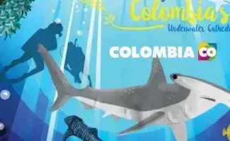 Scuba