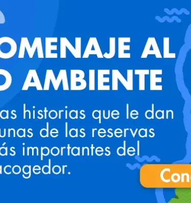 Pais_Infografia_Recursos_Hidricos