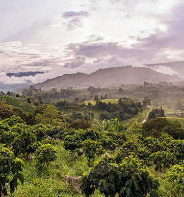 Paisaje Colombiano 