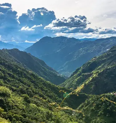 Learn how to be eco friendly from these Colombians on World Environment Day