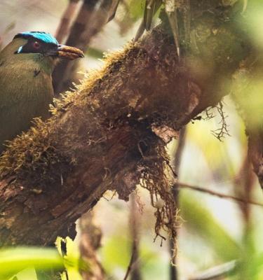 Biodiversidad