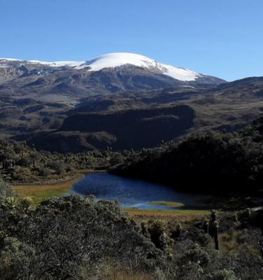 Parque Nacional de los Nevados - Luis Alfonso Cano