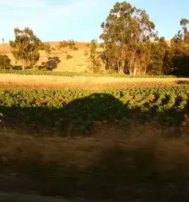 Turismo agroecológico