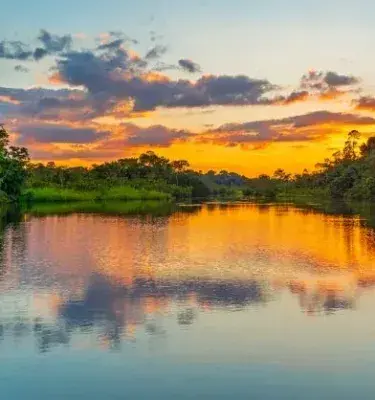 Sunset reflected on Amazon river surrounded by jungle