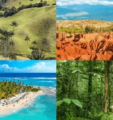 Ecosistemas de Colombia: bosques, páramos, desiertos y playas