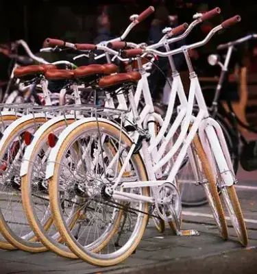 Orange bicycles parked ready for rental