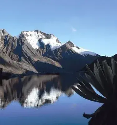 Paisaje andino de Colombia con frailejón y nevado reflejado en una laguna