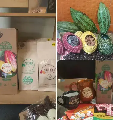 Cacao y mas cacao