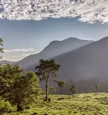Paisaje montañoso colombiano al amanecer con árboles y cielo despejado