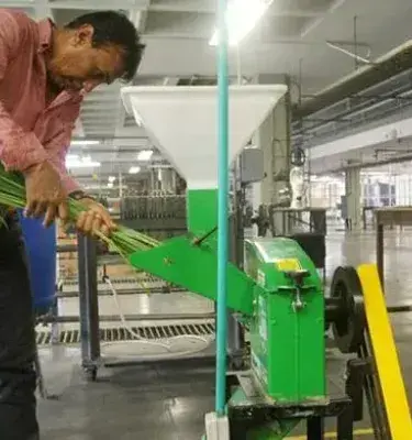 Hombre alimentando una máquina industrial con tallos de plantas verdes.