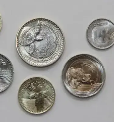 Varias monedas de peso colombiano con diseños de animales (tortuga, oso andino) y una flor.