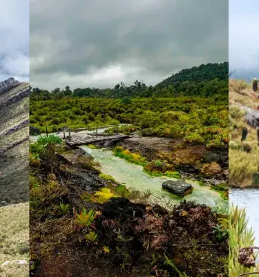 Colombia moorlands