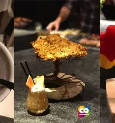 Tres platos de alta cocina, incluyendo fruta en palitos y una porción con raíz.