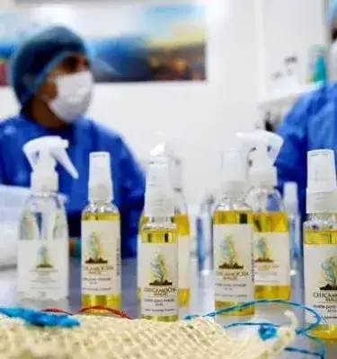 Producción de aceites esenciales por emprendedores colombianos