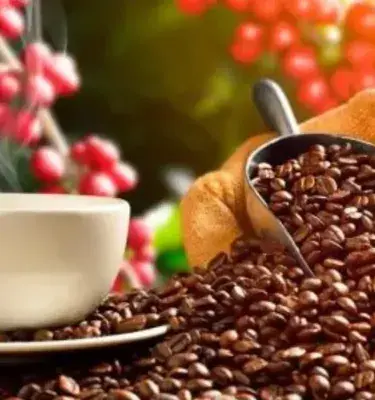 Semillas y taza de café colombiano