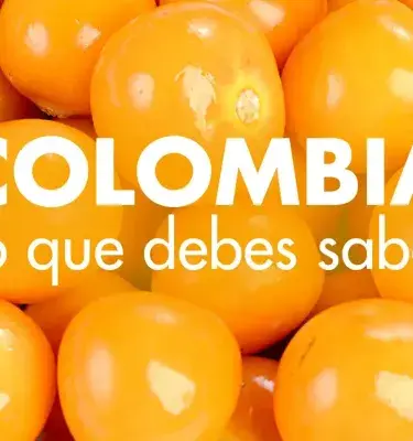Uchuvas de color naranja intenso con texto "COLOMBIA ¡Lo que debes saber!".