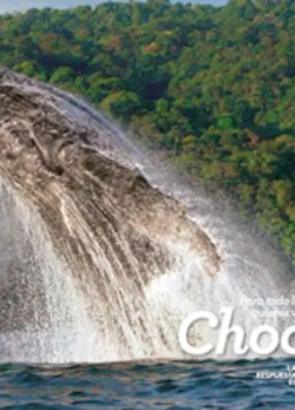 Chocó Nuqui