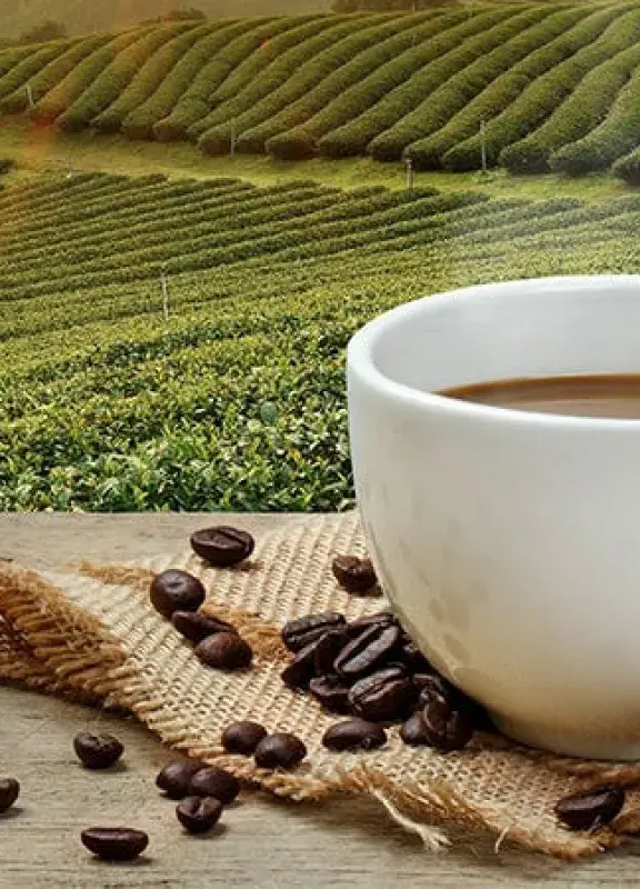 Coffe 