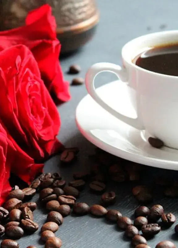 MP_SANVALENTIN_INTERNA_02|MP_SANVALENTIN_INTERNA_01|MP_SANVALENTIN_INTERNA_04|MP_SANVALENTIN_INTERNA_03|MP_SANVALENTIN_PORTADA