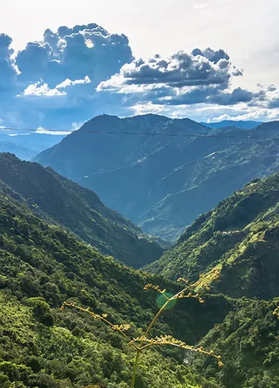 Learn how to be eco friendly from these Colombians on World Environment Day