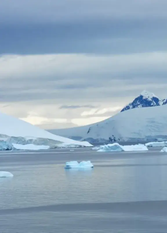 antartica