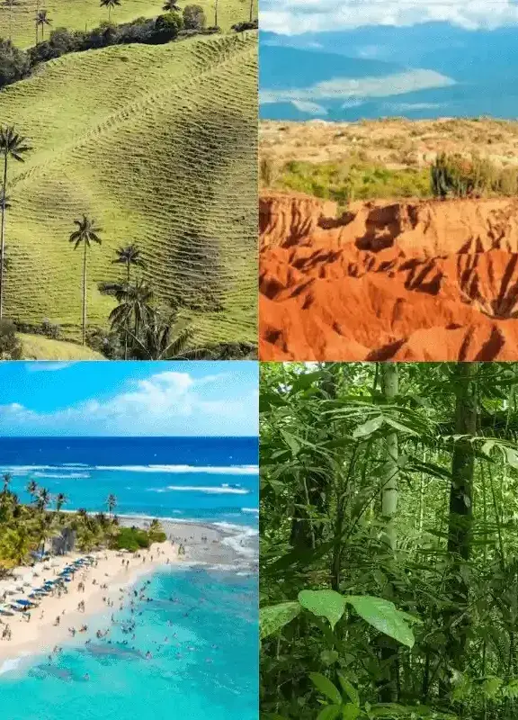 Ecosistemas de Colombia: bosques, páramos, desiertos y playas