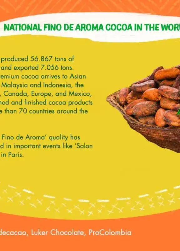  Infographic of fine aroma cocoa, showing beans in a basket and text about its production and export.