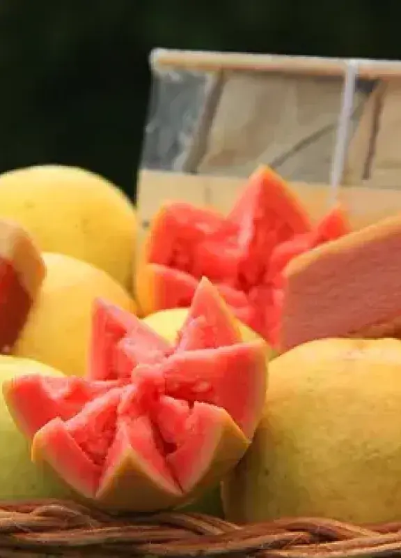 El bocadillo veleño, uno de los productos colombianos que cuenta con el sello de Denominación de Origen – Bocadillo veleño y guayaba servido en una canasta Marca País Colombia|El queso paipa, es uno de los productos colombianos con Sello de Denominación de Origen – Queso paipa servido en tabla de madera Marca País Colombia|El arroz de la Meseta de Ibagué, uno de los productos colombianos con Sello de Denominación de Origen – Cultivo de arroz de la Meseta de Ibagué Marca País Colombia|El-sello-de-D