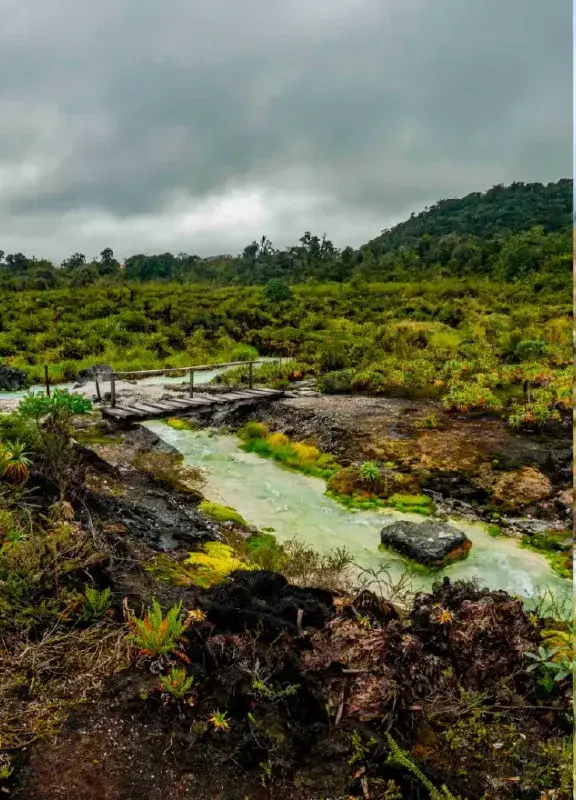 Colombia moorlands