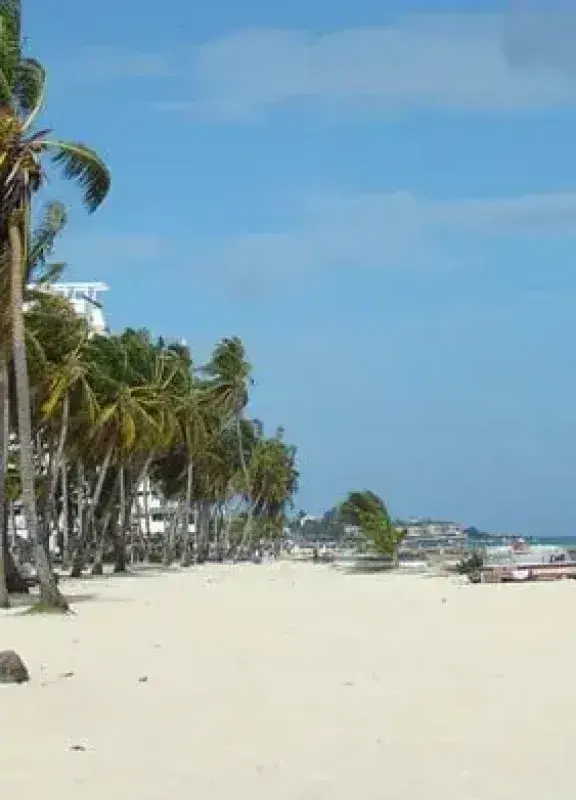 White sand beach and palm trees in San Andres, Colombia